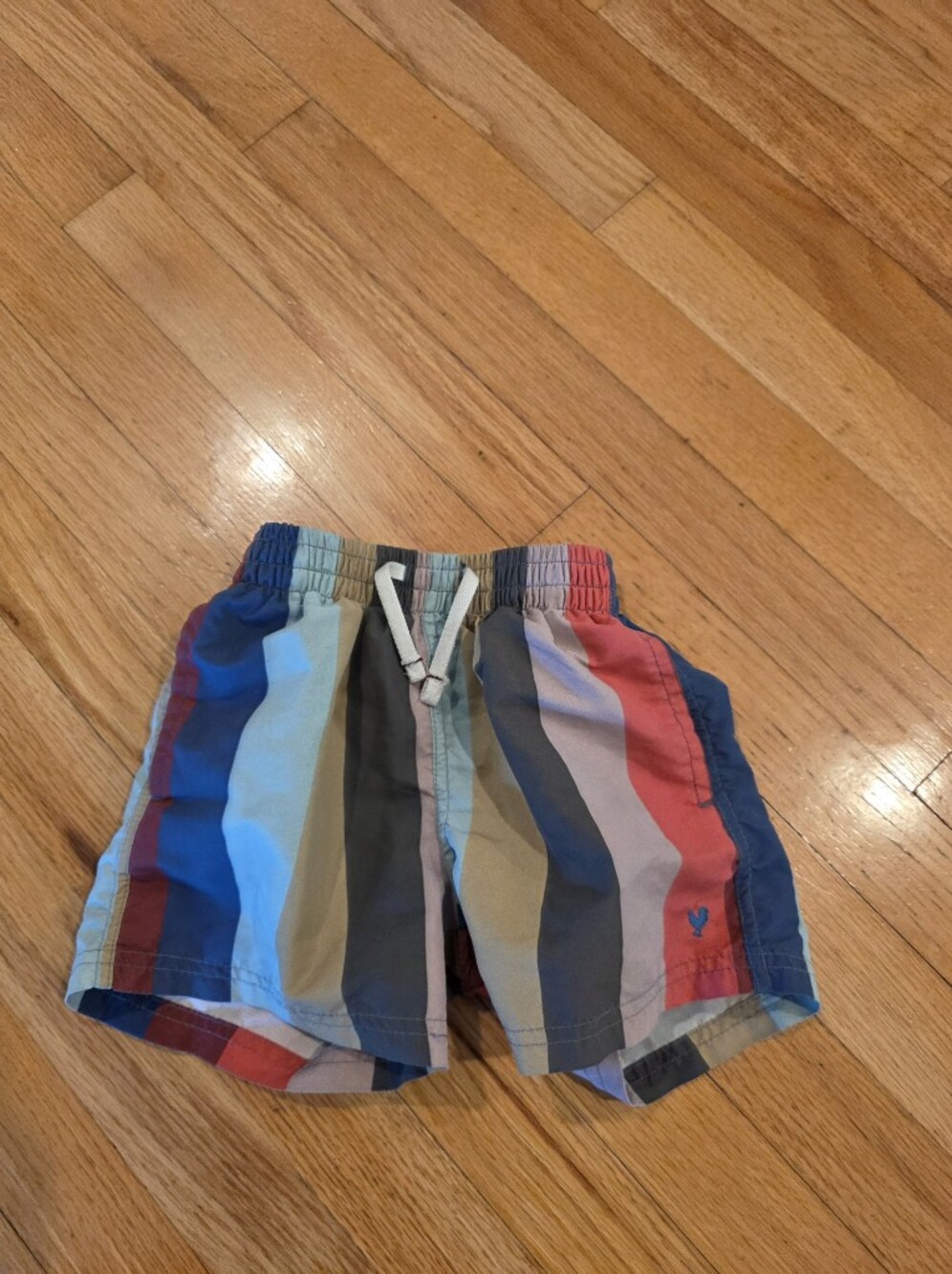 Blue Rooster Collection NY Boys Swim Trunks